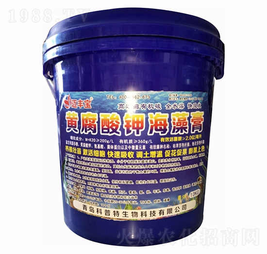 �S����⛺����-�~�S��-������