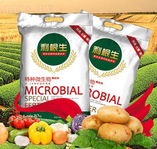 ������-�ش���