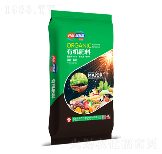 �ƈ�̼�����ЙC��-���r�d̩