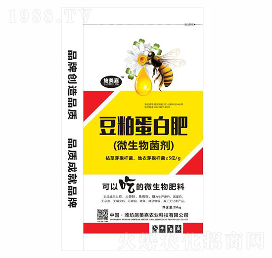 ���ɵ��׷ʣ�΢���������-ʩ����