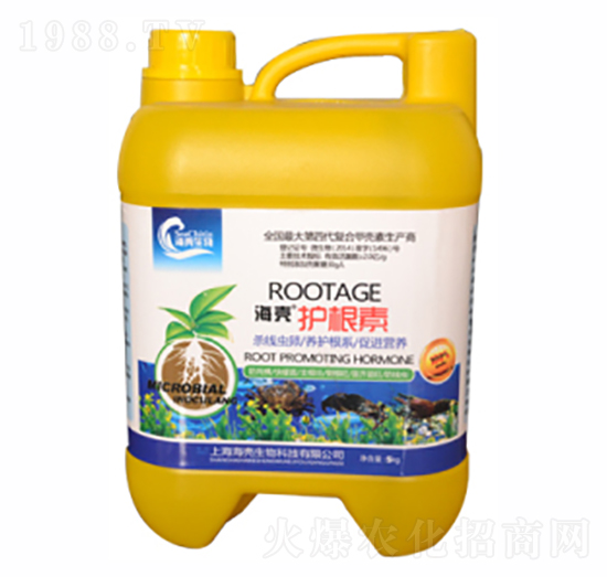 �����o(h��)����-��������