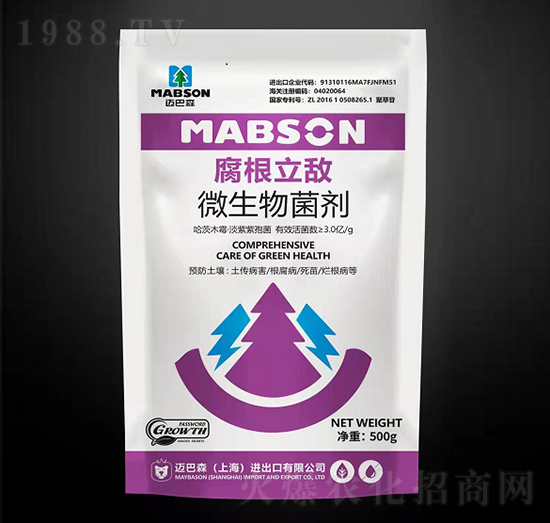 ��������΢�������-�~��ɭ