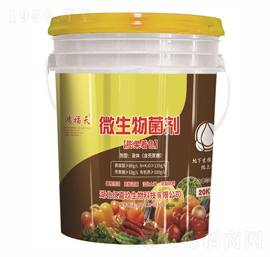 ΢��������������ɫ��-�|�ξ�