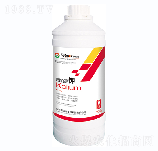 ʩ�۸��-ʩ�۸�