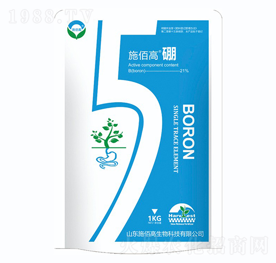 ʩ�۸ߡ���-ʩ�۸�