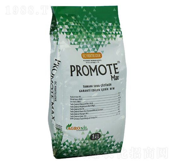 Promote-�ָ���