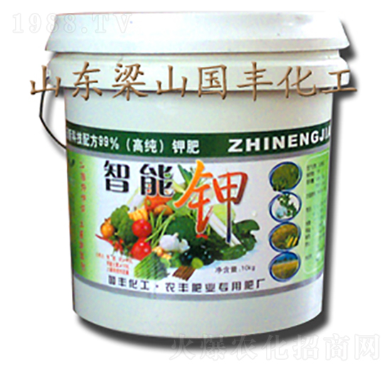 �����-���S�ʘI(y��)