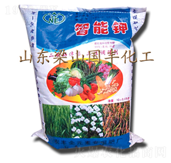 �߼��������-���S�ʘI(y��)