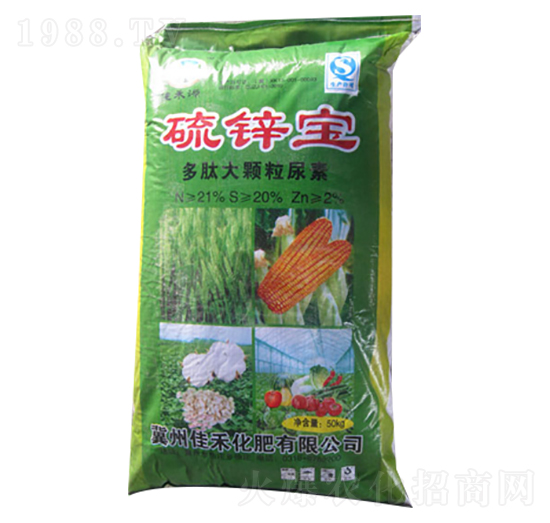 ���Ĵ��w������-���\��-�Ѻ��r�Y