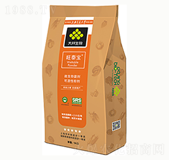 ��̩��-������