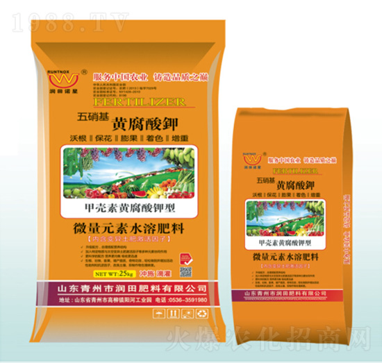 �������S����⛛_ʩ��-�������