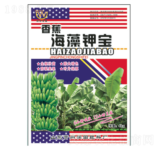 �㽶����⛌�-�������