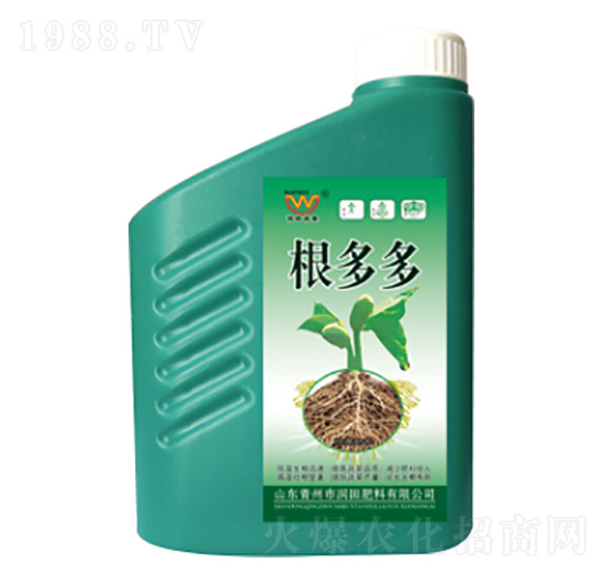 �����-�������