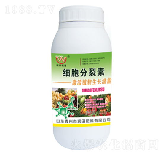 ƿ�b��(x��)��������-�������