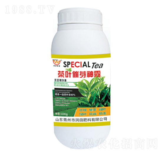 ���~��ѿ��¶-�������