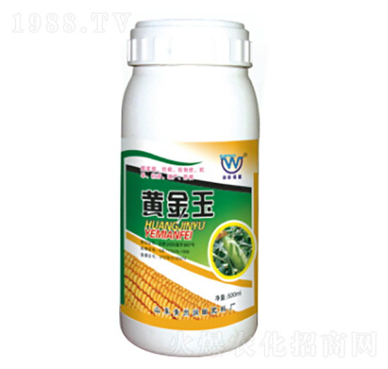 �S����-��(r��n)�����