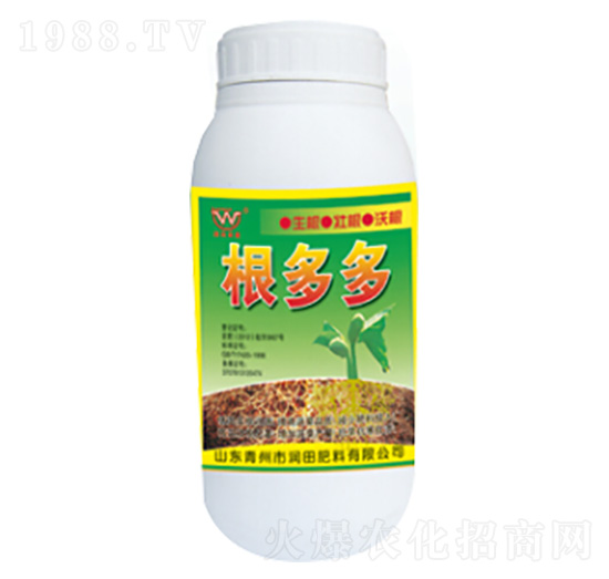 ƿ�b�����-�������