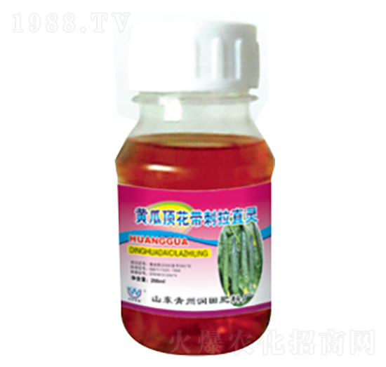 �S��픻�������ֱ�`-�������