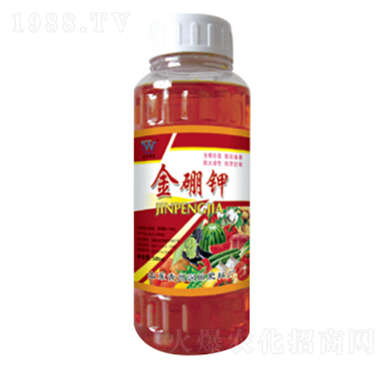 ������~���-�������