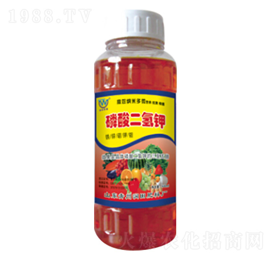 ��������-��(r��n)�����