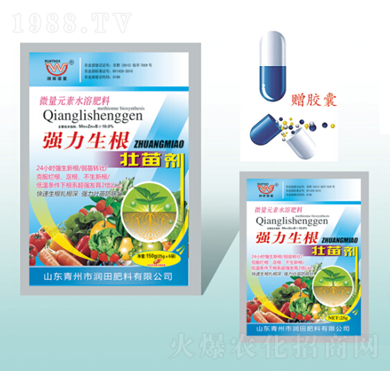 �����������焩-�������