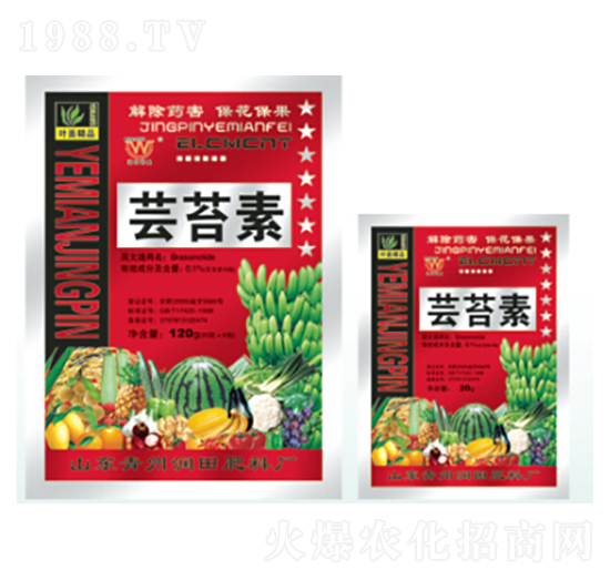 �|̦��-��(r��n)�����