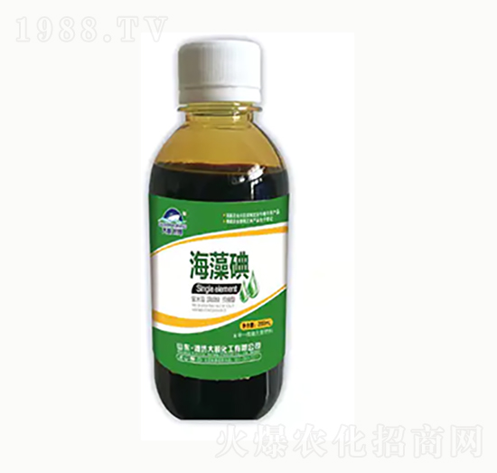 �����-��혻���