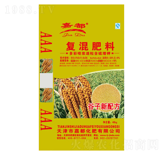 �����䷽�ʏ�(f��)�����-�ζ�