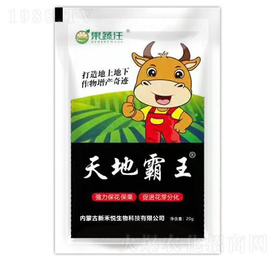 ��ذ���-������-�º̐�