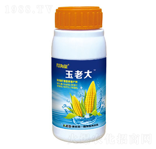 �������~�懊��-���ϴ�-������