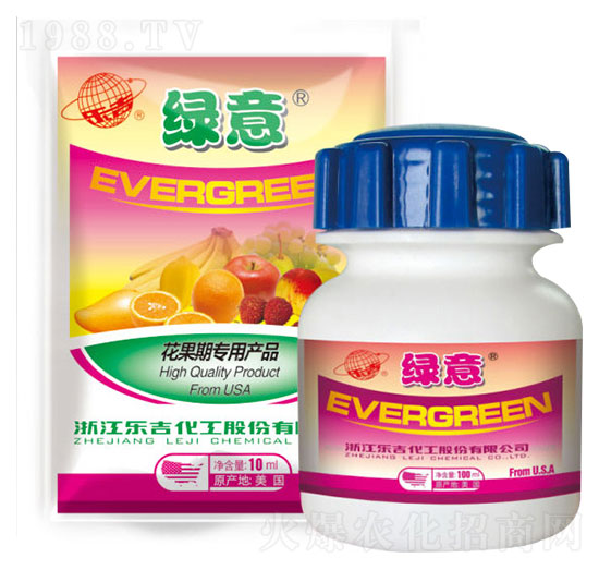 �����ڌ����~���-�G��-���