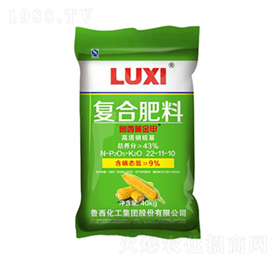 �����S��׸����������(f��)�Ϸ���22-11-10-��������