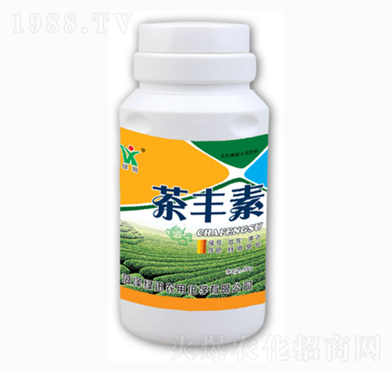 ���S��-�GѸ