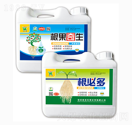 ���ض�-�GӍ