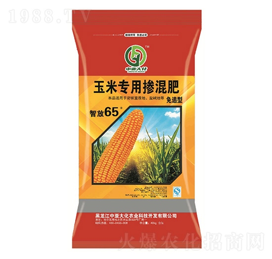 ���׌��Ó����26-10-8-�Ё���