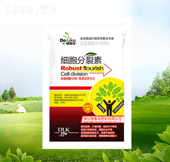 ��(x��)��������-������