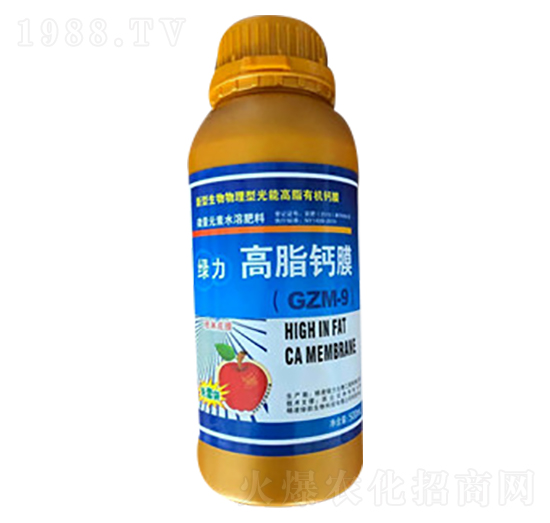 �G����֬�}Ĥ-�G��