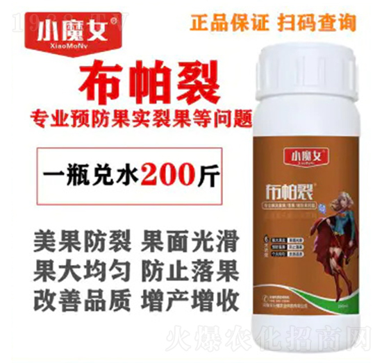 ������-СħŮ-���н�