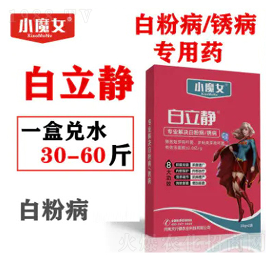 �׷۲����P������ˎ-�����o-СħŮ-���н�