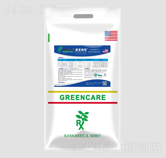 ��������-���քP��