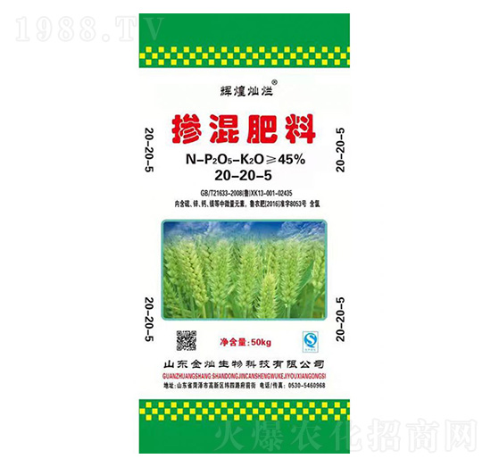 �������20-20-5-�x�͠N��-��N����