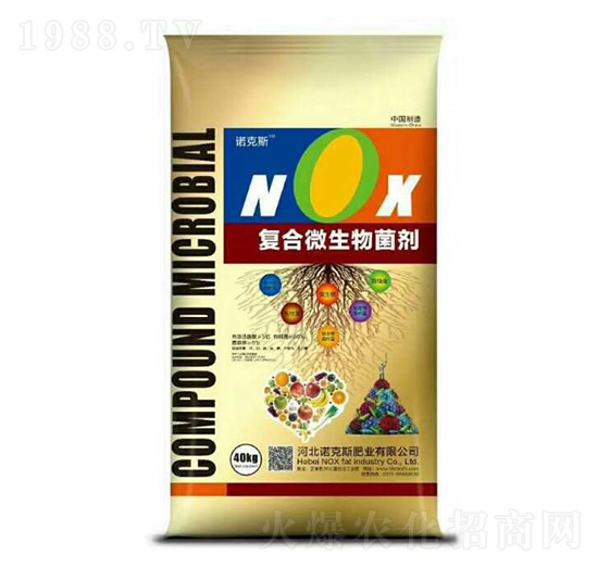 ��(f��)��΢�������-�Z��˹