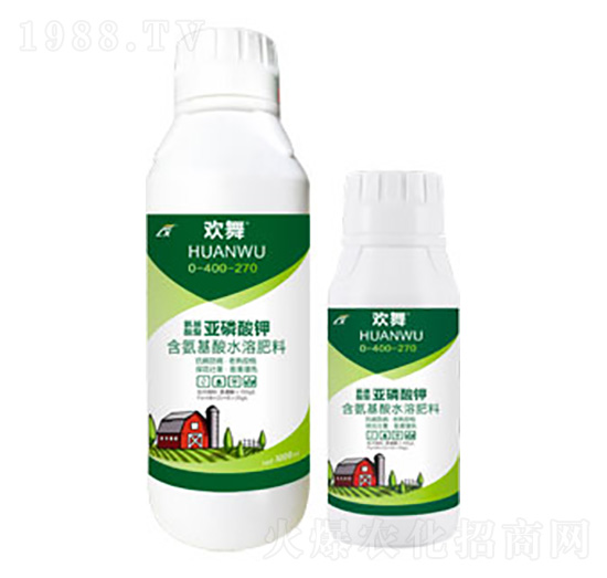 �������́������-�g��-�B������