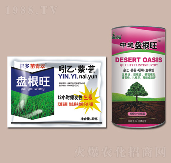 ��Խ�P����-���r