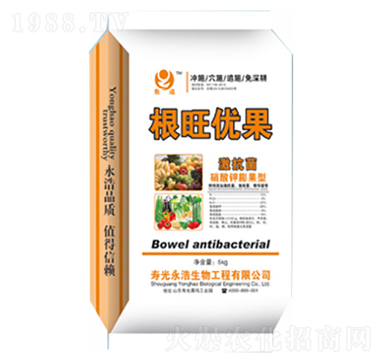 ������(y��u)��-��������