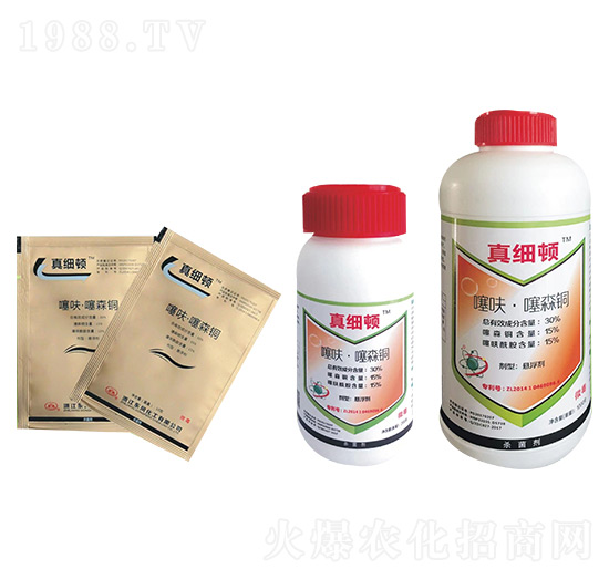 ��߻����ɭ�~-�漚�D-�|�L����