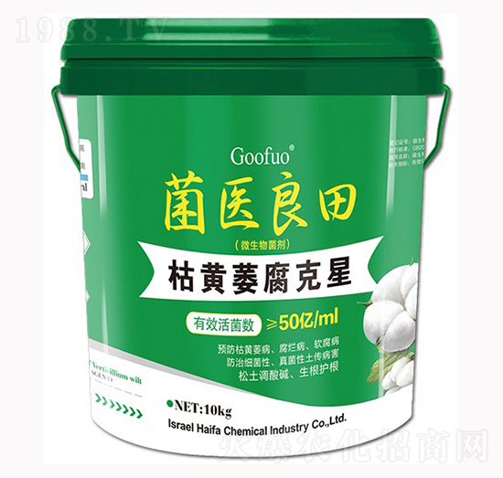 ���Sή������ ���t(y��)����