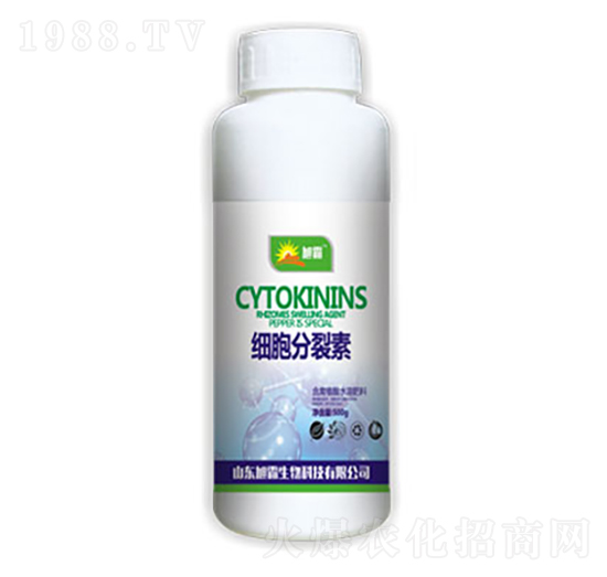 ��(x��)��������-�������