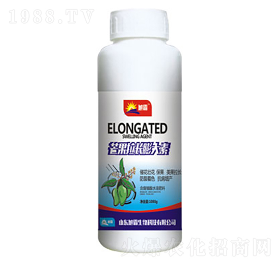 â�����L(zh��ng)�����-�������