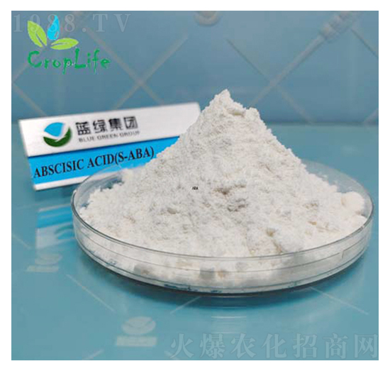 Ó����-��(��i)��˹����